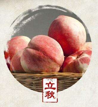 银河app手机版下载APP下载-银河app手机版下载2026最新版